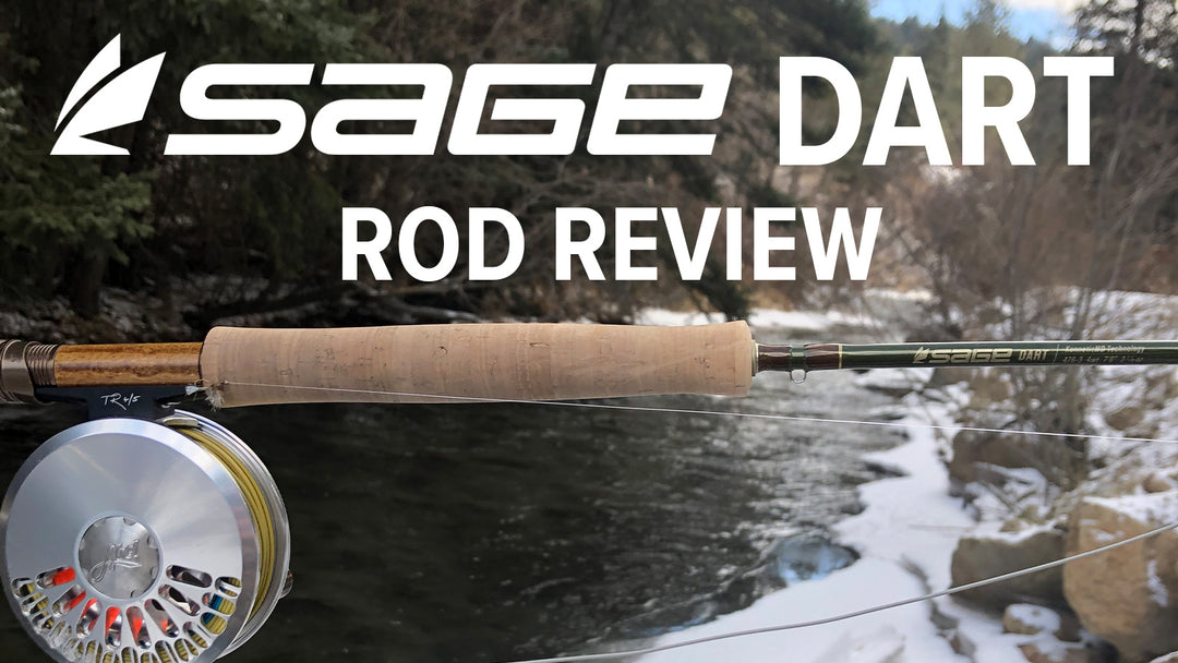 Sage Dart Rod Review