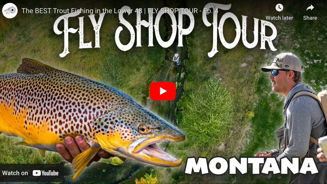 Flylords Fly Shop Tour - Montana Episode 2