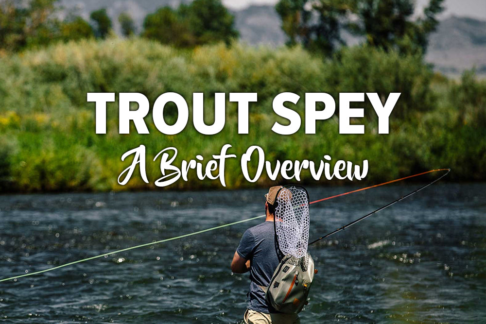 Trout Spey: A Brief Overview – Madison River Fishing Company
