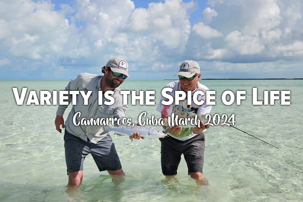 Variety Is the Spice of Life - Cannarroes, Cuba March 2024