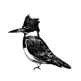 View All MRFC Logo Gear