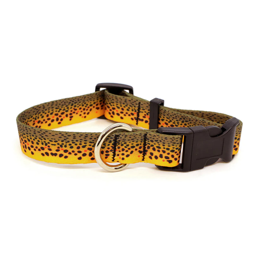 Rep Your Water Brown Trout Skin Dog Collar Large