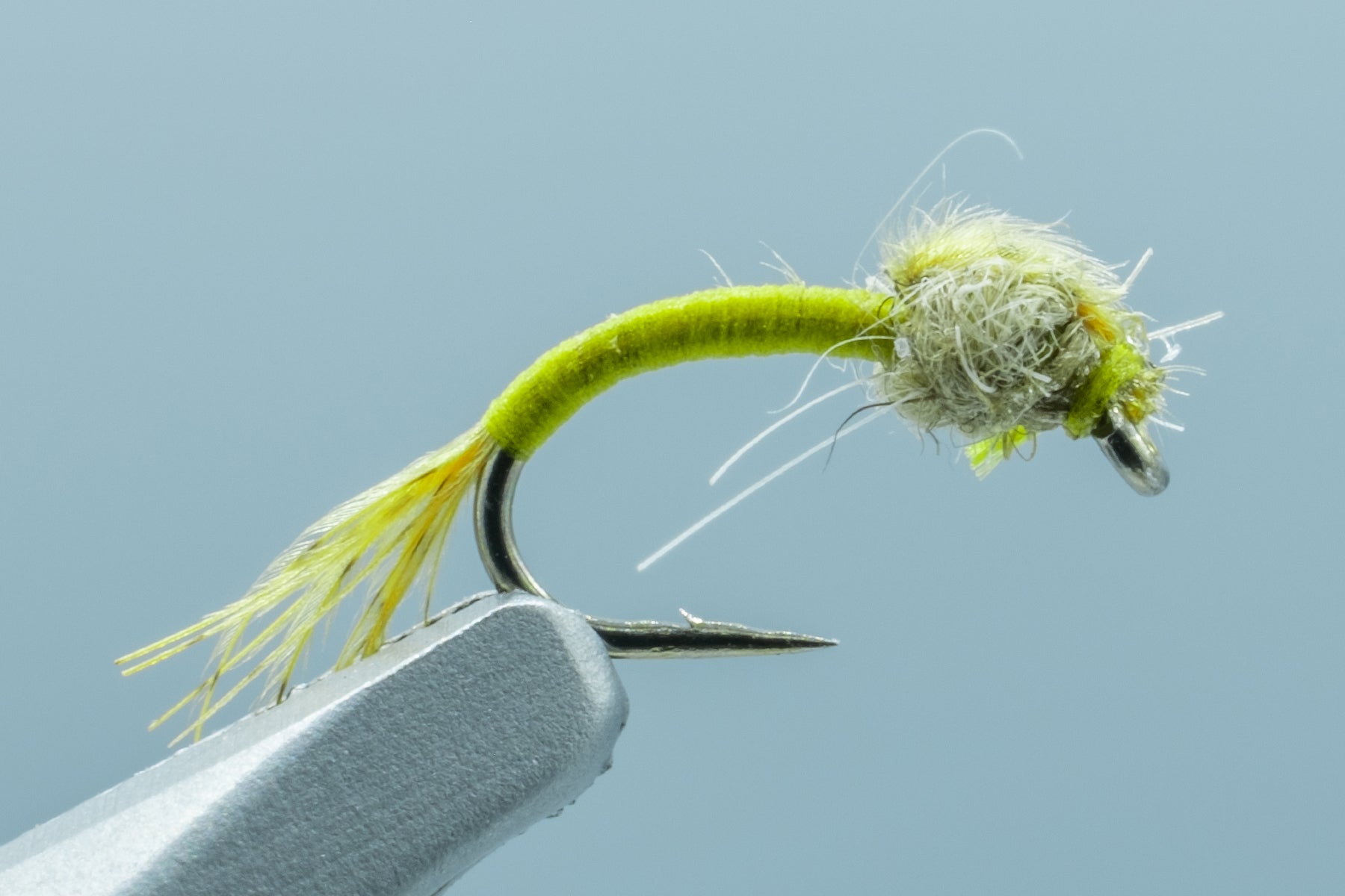 WD 40 Olive #18 – Madison River Fishing Company