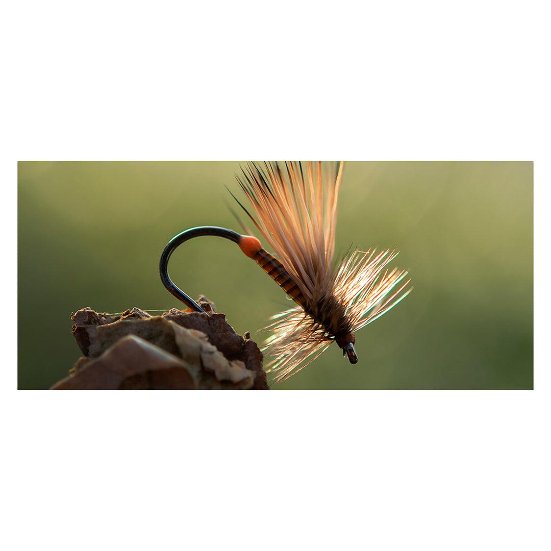 Ahrex FW 503 Dry Fly Light Barbless Hook