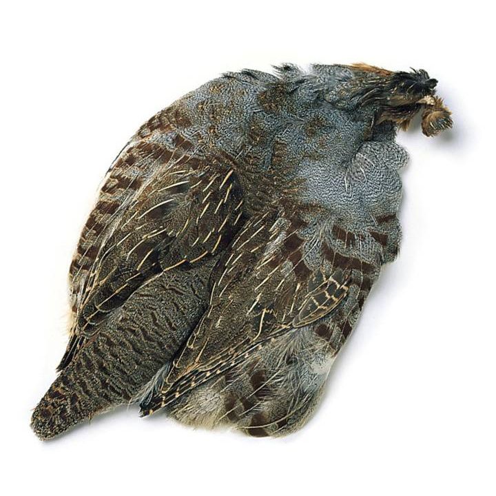Hungarian Partridge Skin – Madison River Fishing Company