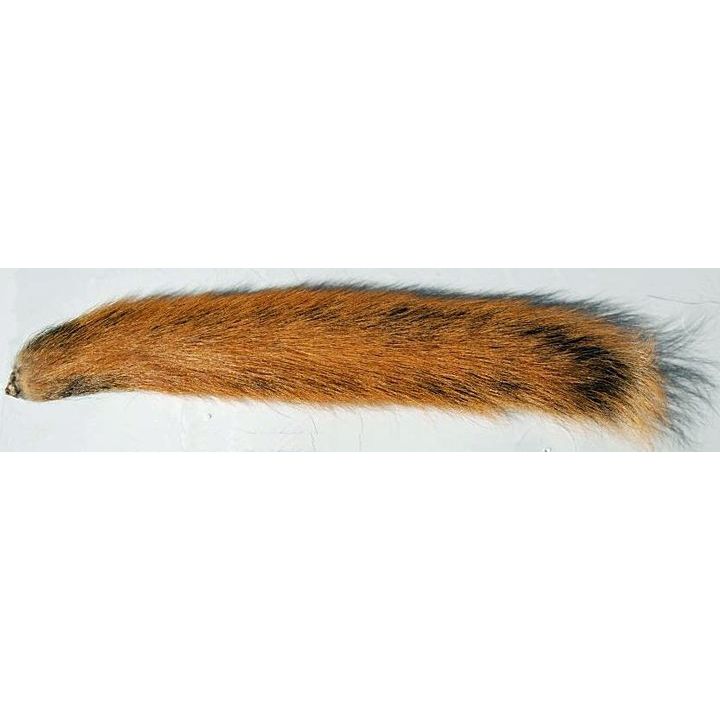 Squirrel Tails