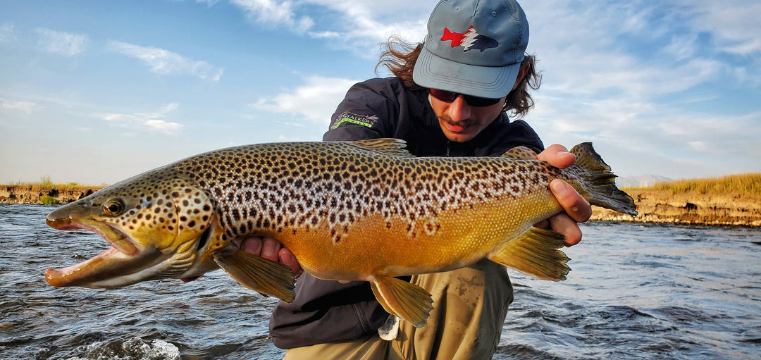 DREAMERS THROW STREAMERS - Madison River Fishing Company