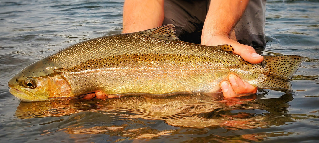 HOOTIN' AND HOLLERIN' - Madison River Fishing Company