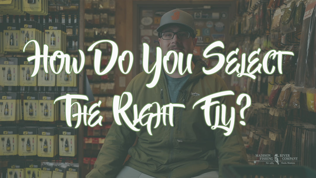 How Do You Select The Right Fly? - Madison River Fishing Company