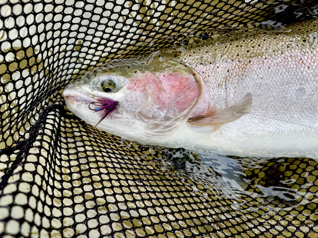 The Dean River — A Once-in-a-Lifetime Pilgrimage - Madison River Fishing Company