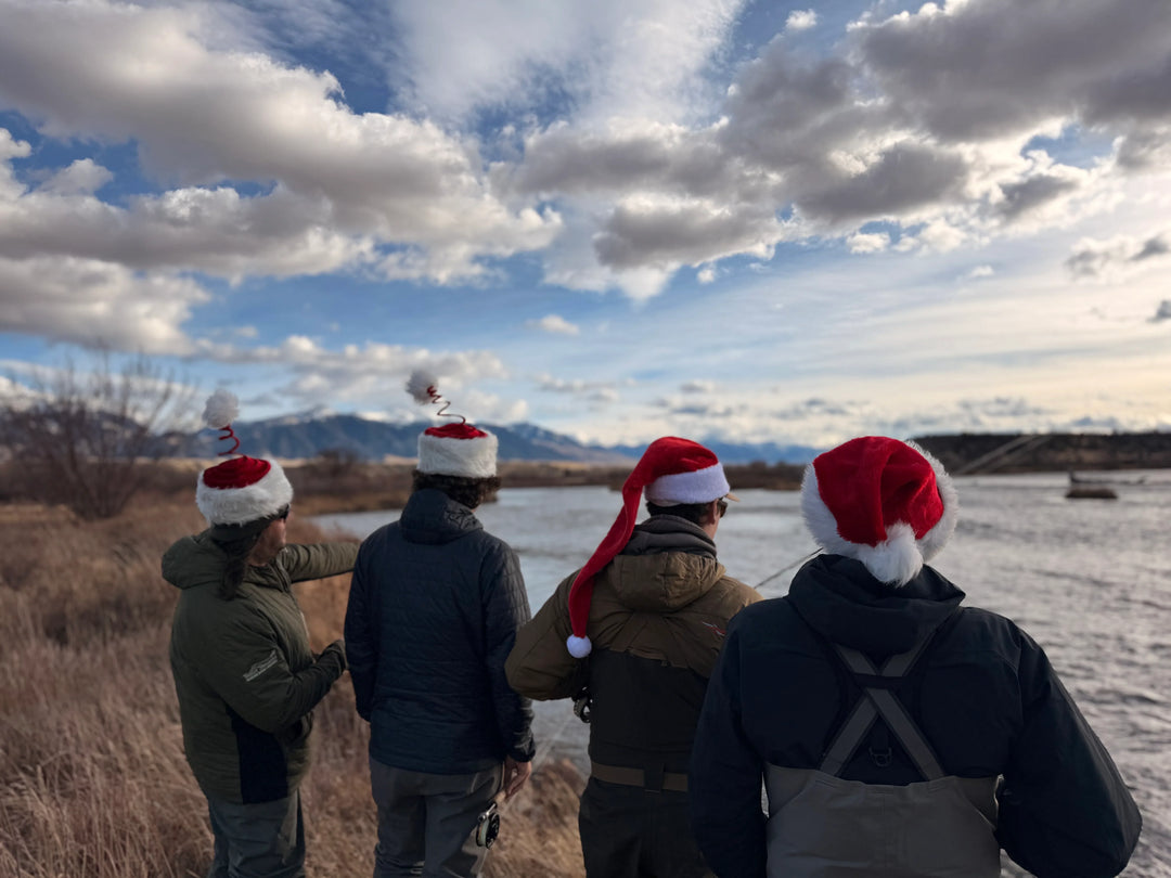 If we Make It Through December