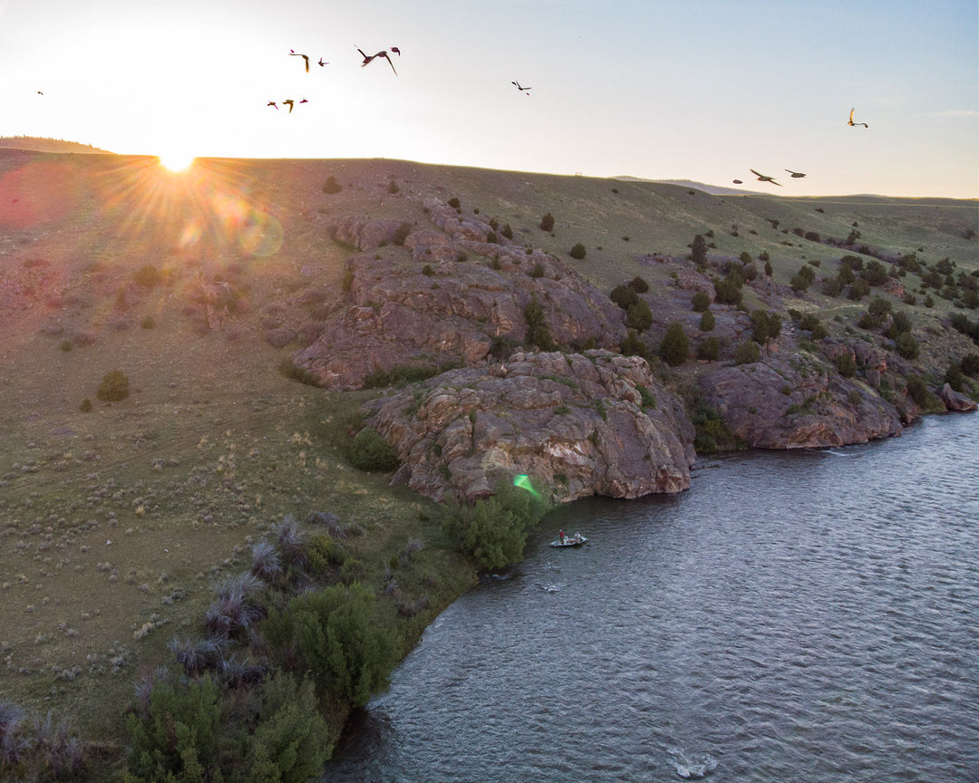 Mid-June Nymph Tactics Before the Big Bugs Arrive - Madison River Fishing Company
