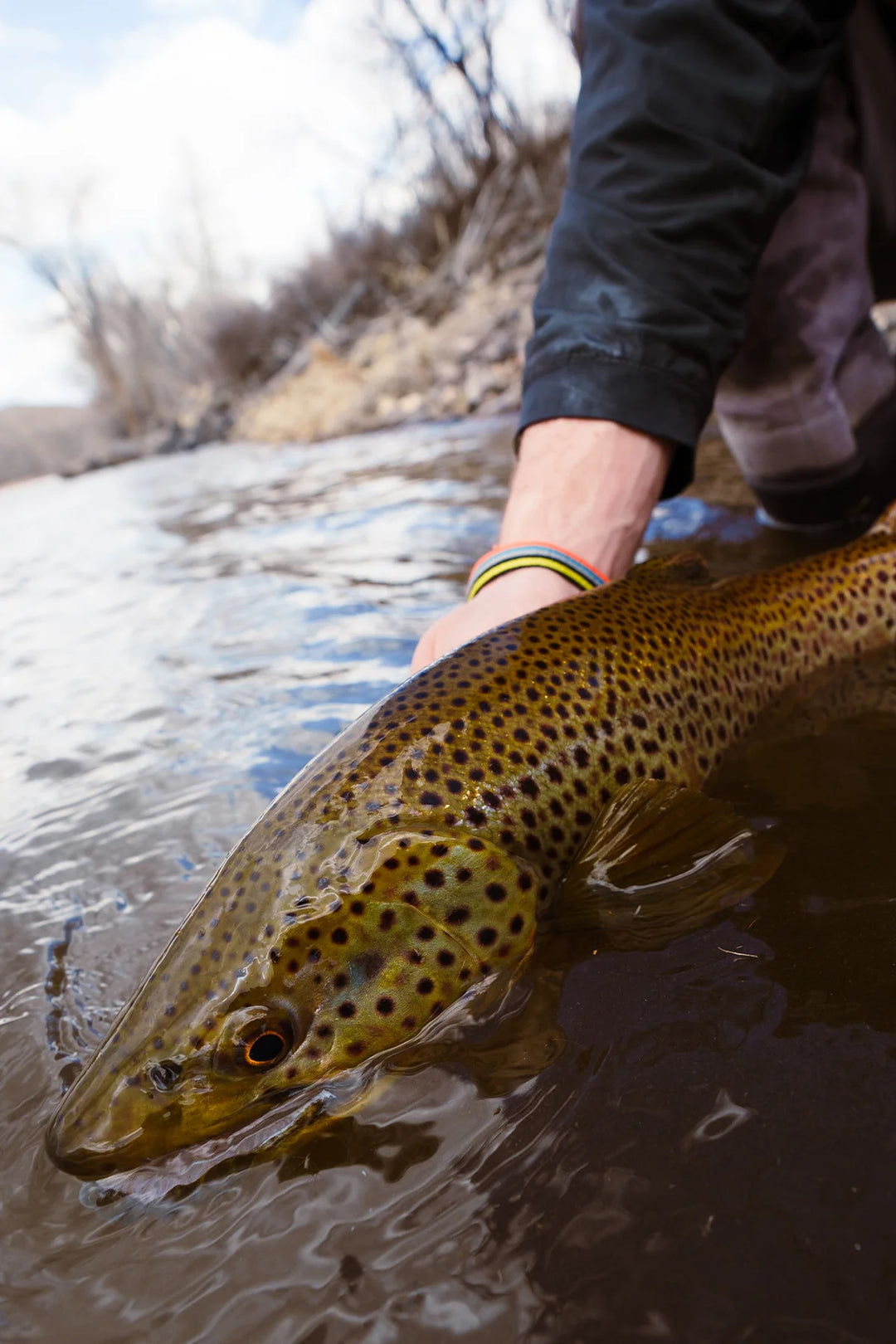 Ain't Life Grand - Madison River Fishing Company