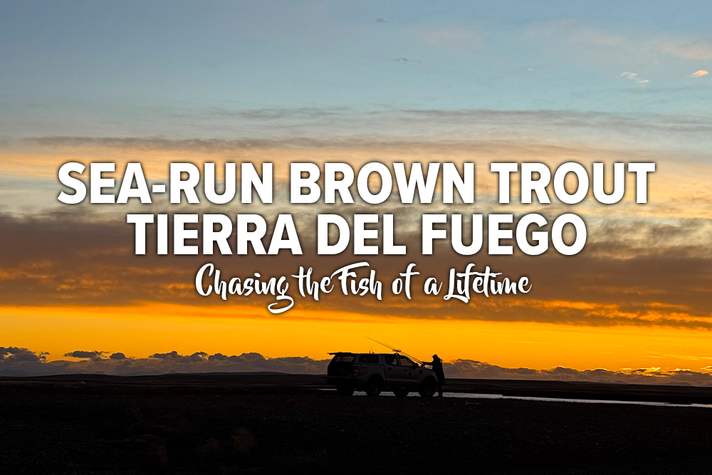 Sea-Run Brown Trout in Tierra del Fuego: Chasing the Fish of a Lifetime - Madison River Fishing Company