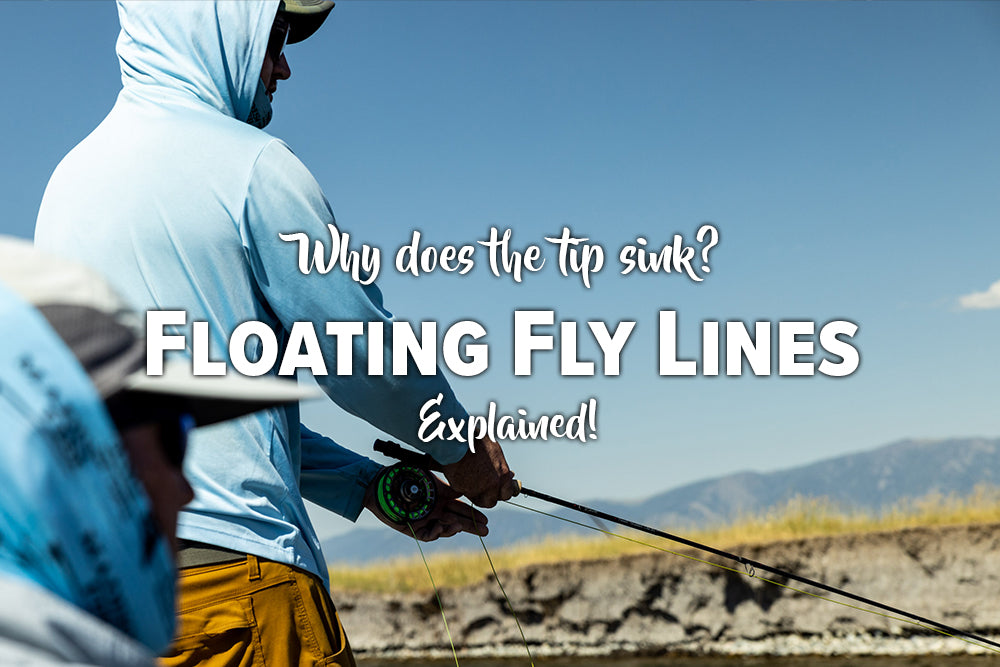 Why is the Tip of my Floating Fly Line Sinking? Madison River Fishing