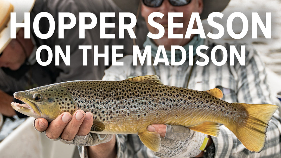 Hopper Season - Madison River Fishing Company