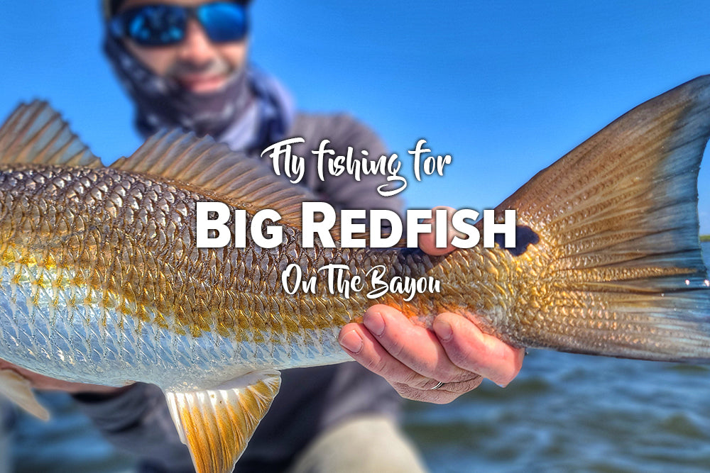 Fly Fishing for Big Redfish on the Bayou