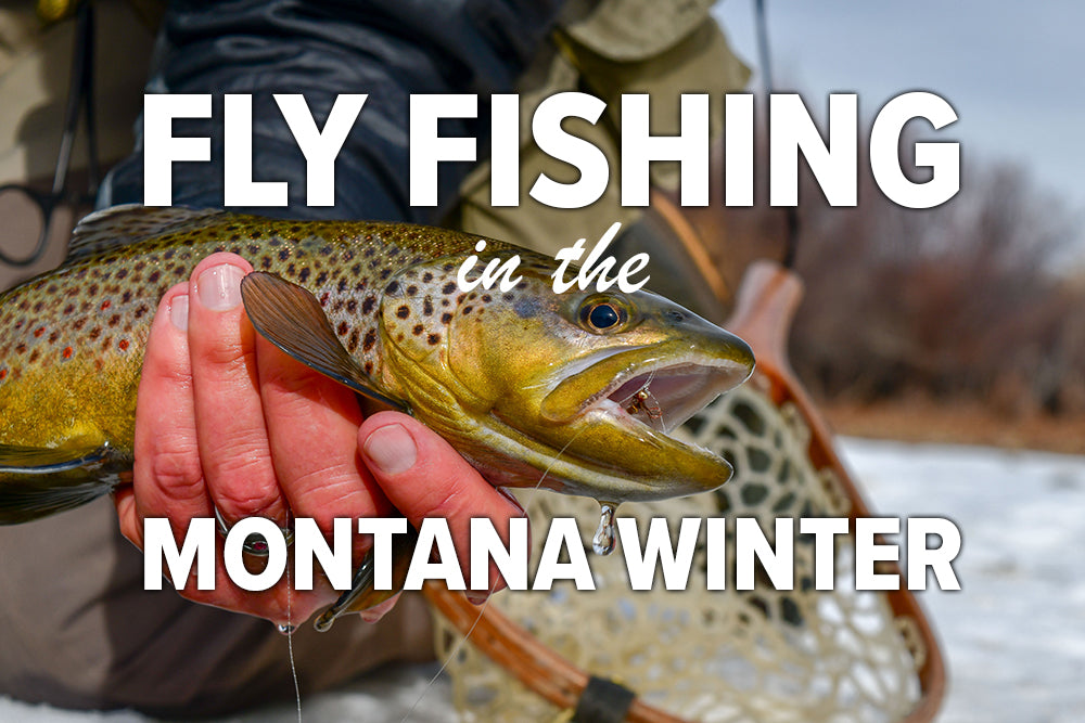 Fly Fishing in the Montana Winter