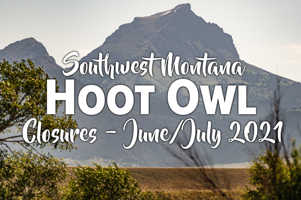 Southwest Montana Hoot Owl