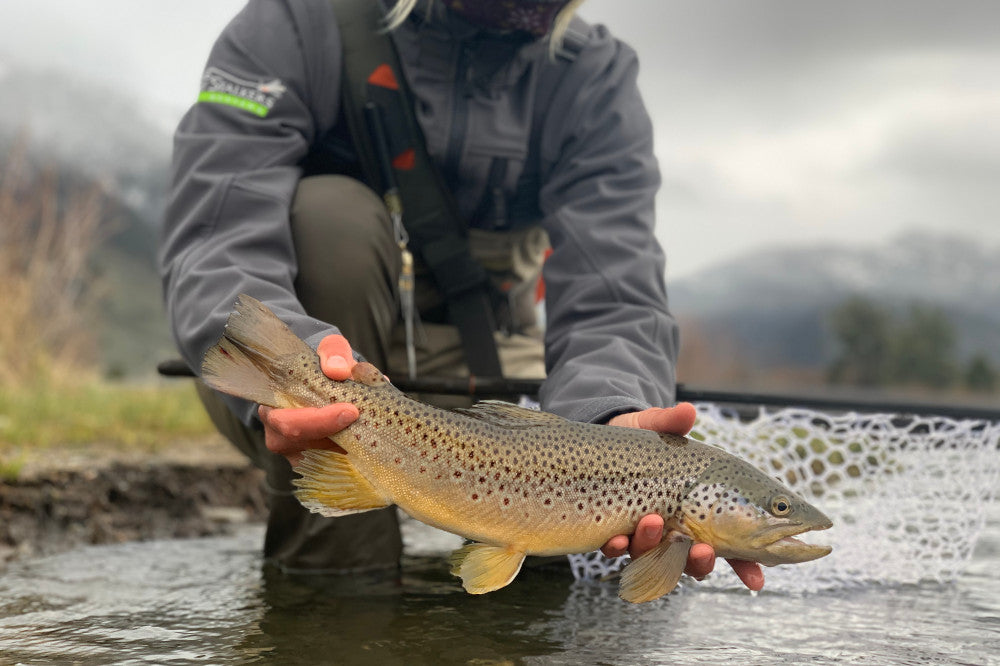 Pre-Runoff May Fishing - Madison River Fishing Company