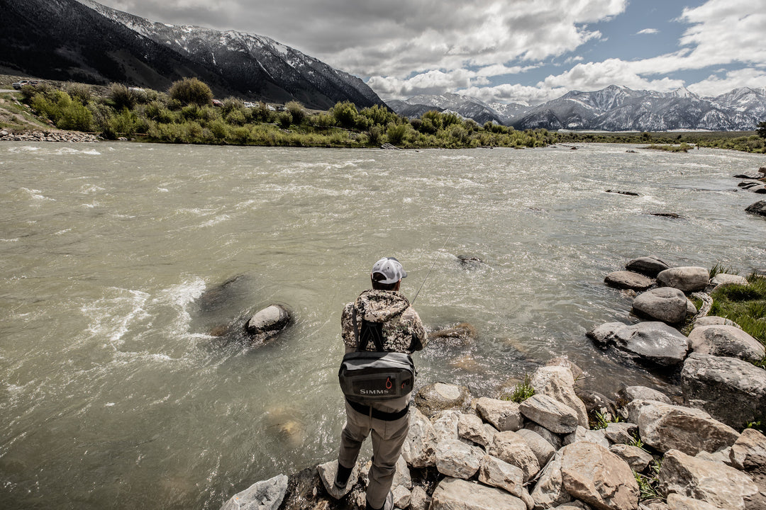 Fall BWOs and Streamers on The Madison - Madison River Fishing Company