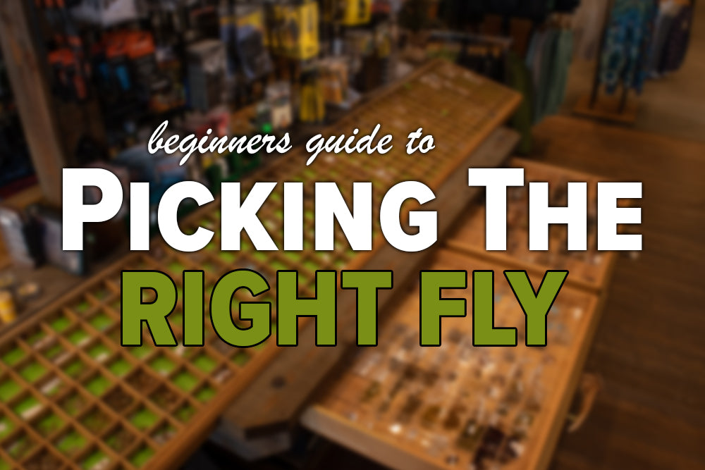 A Beginner’s Guide to Picking The Right Fly – Madison River Fishing Company