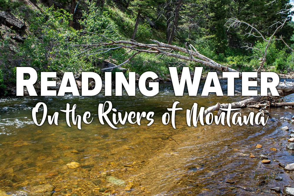 Reading Water On the Rivers of Montana - Madison River Fishing Company