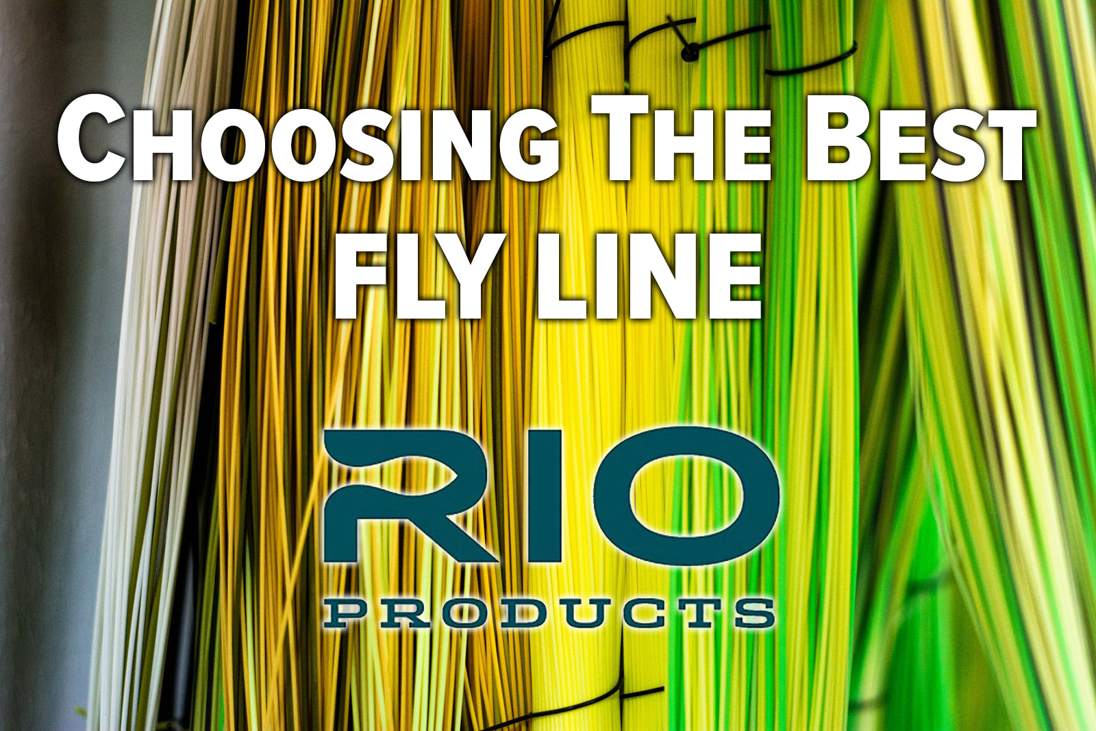 Yellow Fly Line Rio Rio Fly Lines - Choosing The Best Line For Your New Fly Rod – Madison ...