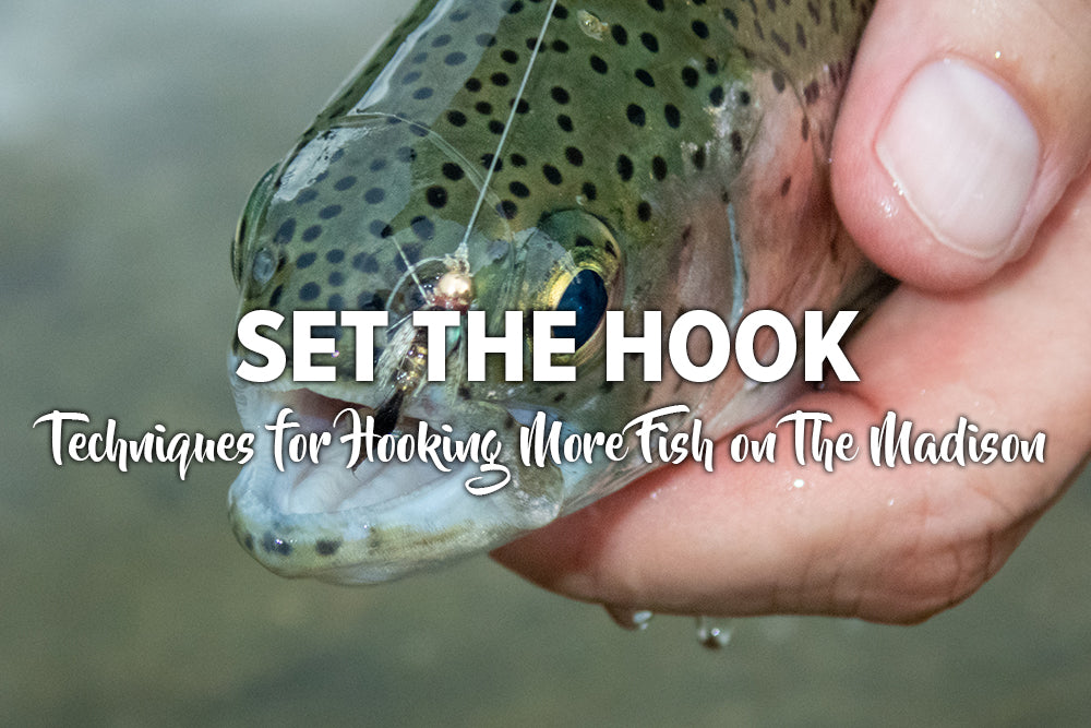 Set That Hook! Techniques for hooking more fish on the Madison River