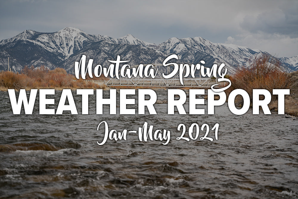 Montana Spring Weather Report – Madison River Fishing Company