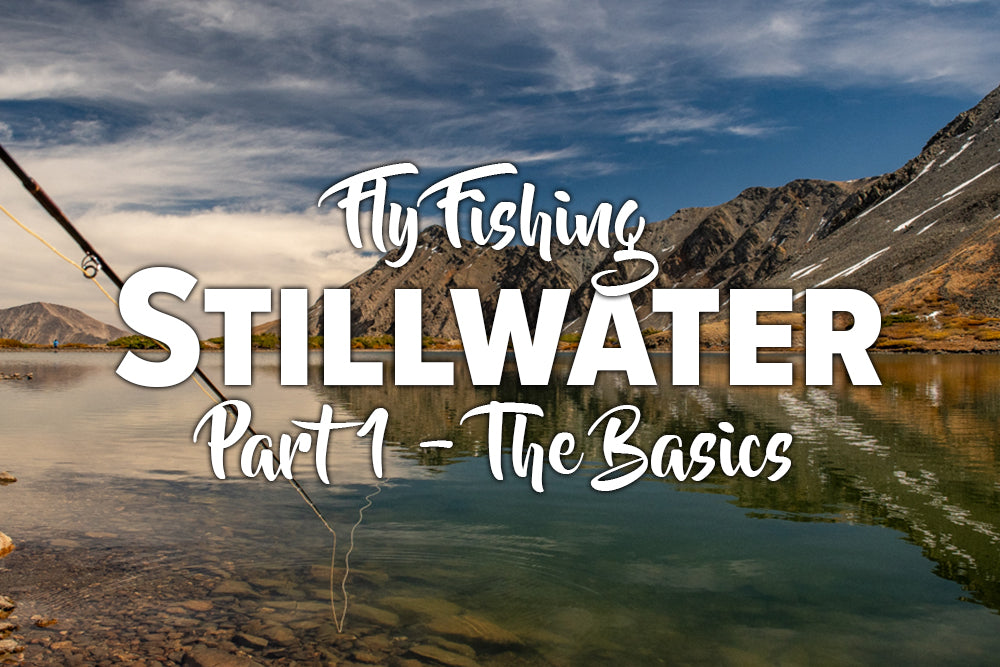 Stillwater Fishing Part 1 - The Basics