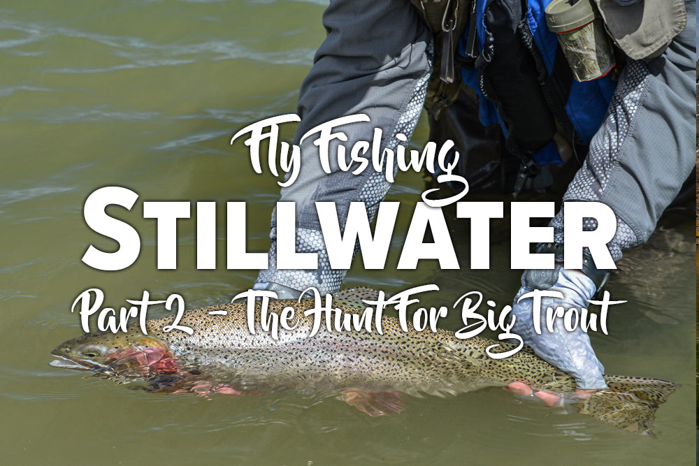 Stillwater Fishing Part 2 - The Hunt for Big Trout