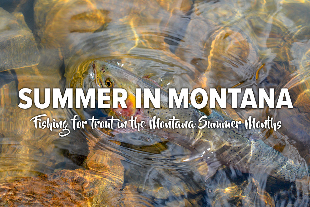 Summer in Montana - Fishing for trout in the Montana Summer Months