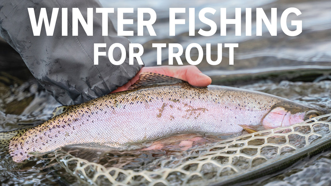 Tips for Winter Fishing in Montana - Madison River Fishing Company