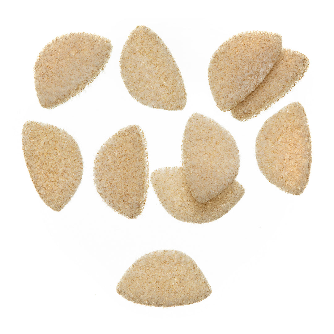 EP Crab Body Medium - Madison River Fishing Company