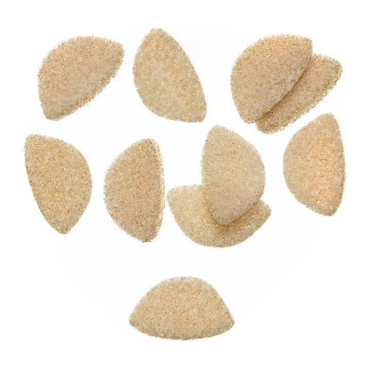 EP Crab Body Medium - Madison River Fishing Company