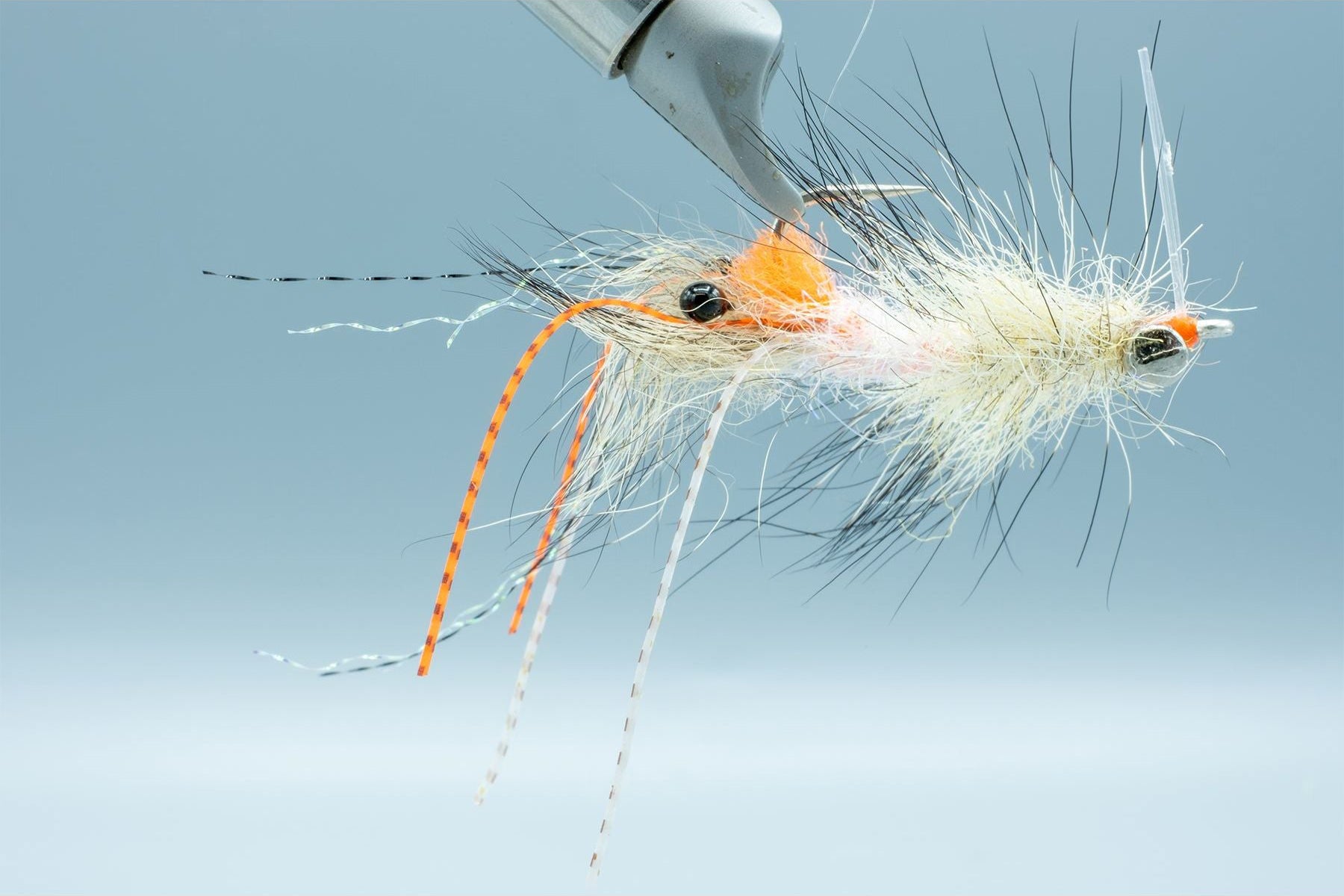 Spawning Shrimp Coyote – Madison River Fishing Company