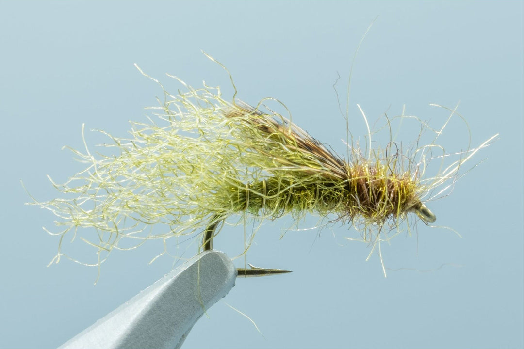Lawson's Caddis Emerger Olive #16