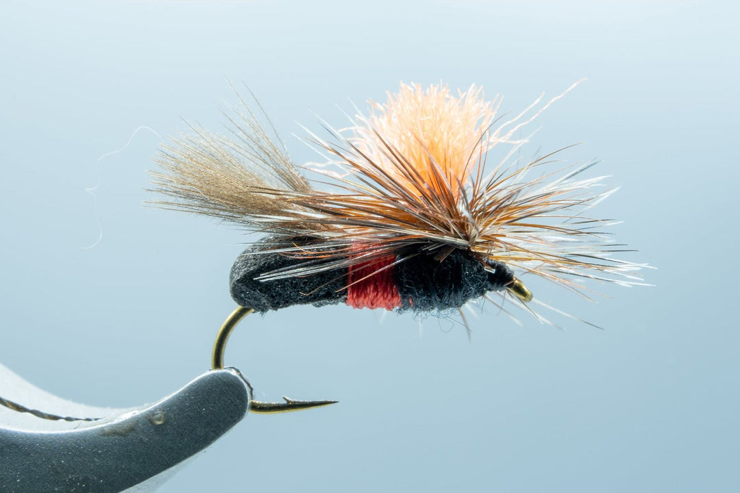 Royal Ant #14 - Madison River Fishing Company
