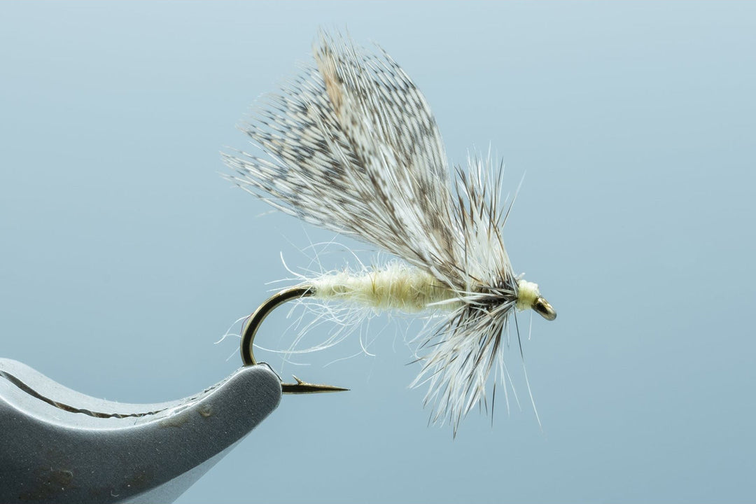 Spent Part Spruce Moth Cream #14