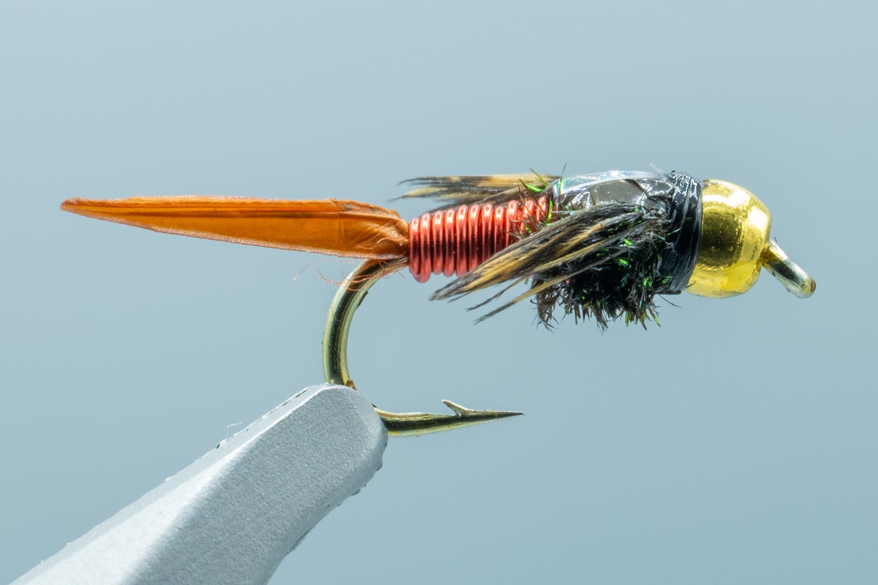 Come Fanno Le Mosche Ad Atterrare A Testa In Giù? | Italia - Foto 6