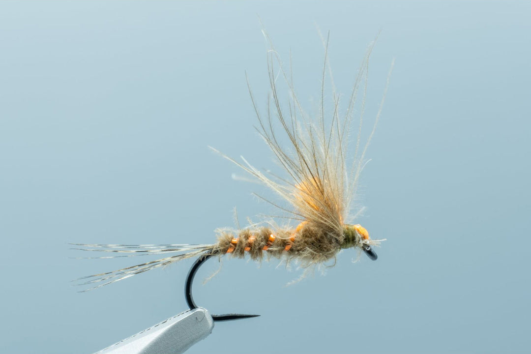 Antonio's Adult March Brown BL #12 - Madison River Fishing Company