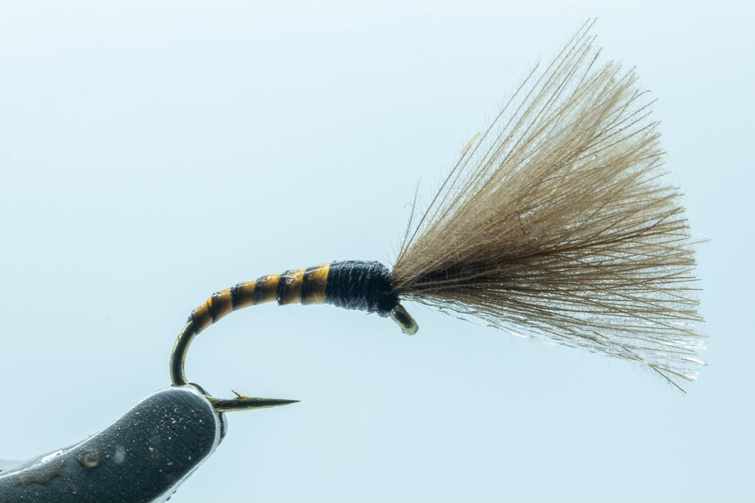 Mole Midge Ginger #18