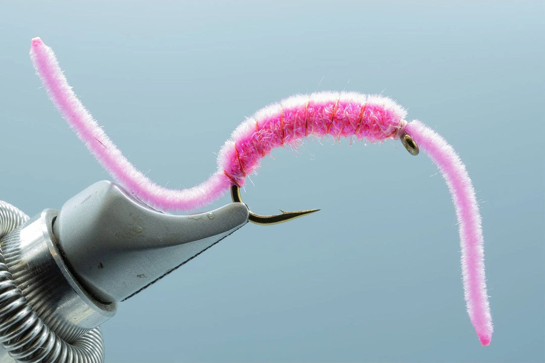 Bjorn's Last Chance Worm #6