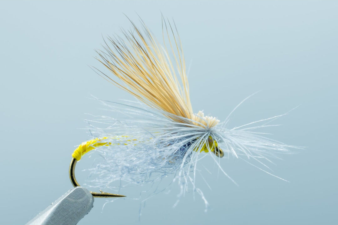 Missing Link Yellow #14 - Main Image