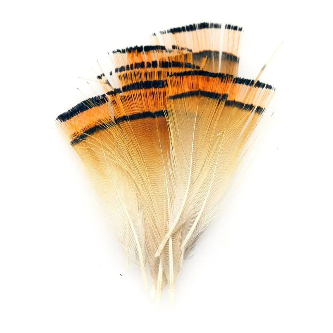 Golden Pheasant Tippets