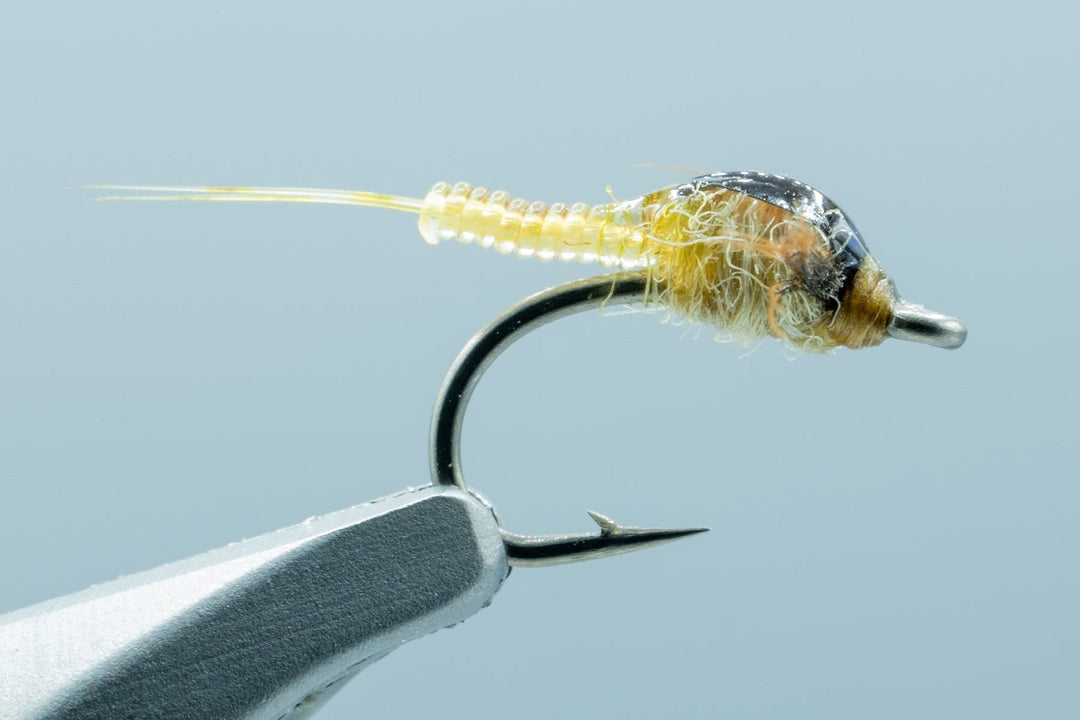 Krueger's Clear Choice May PMD #16 - Madison River Fishing Company