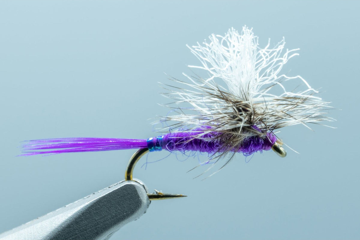 Mini Hot Mayfly Garcia Purple #18 – Madison River Fishing Company
