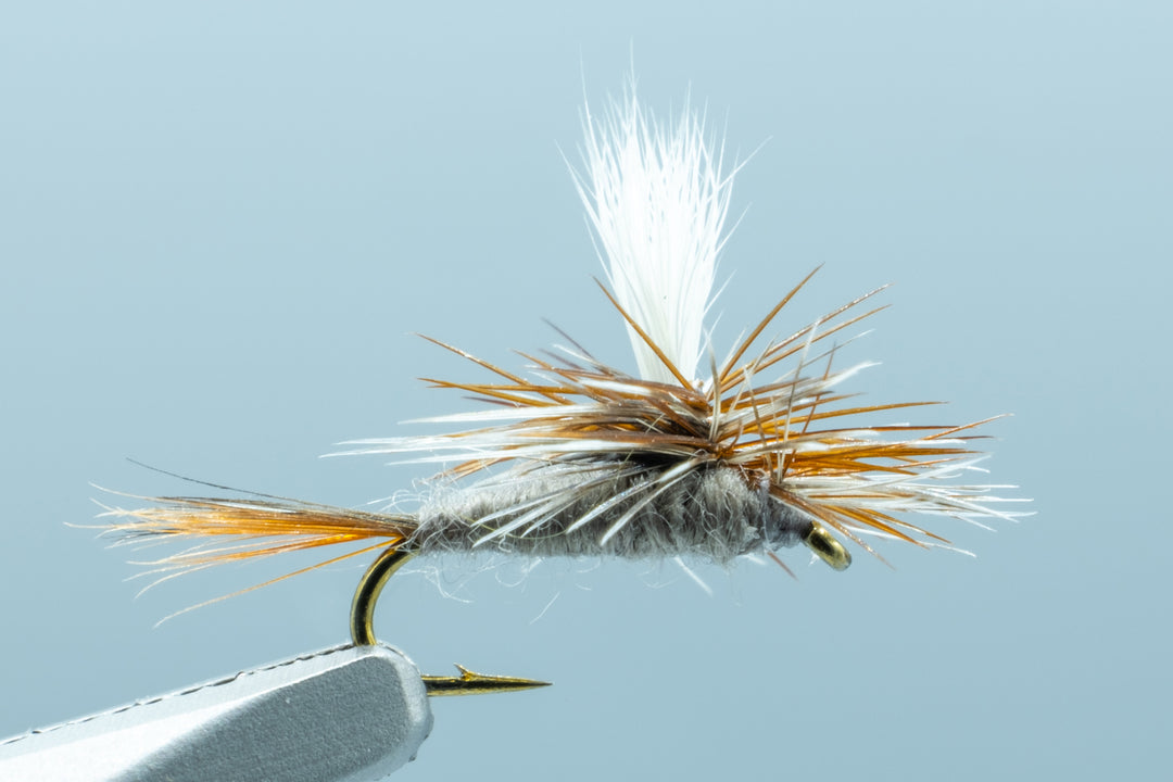 adams fly reels Parachute Adams