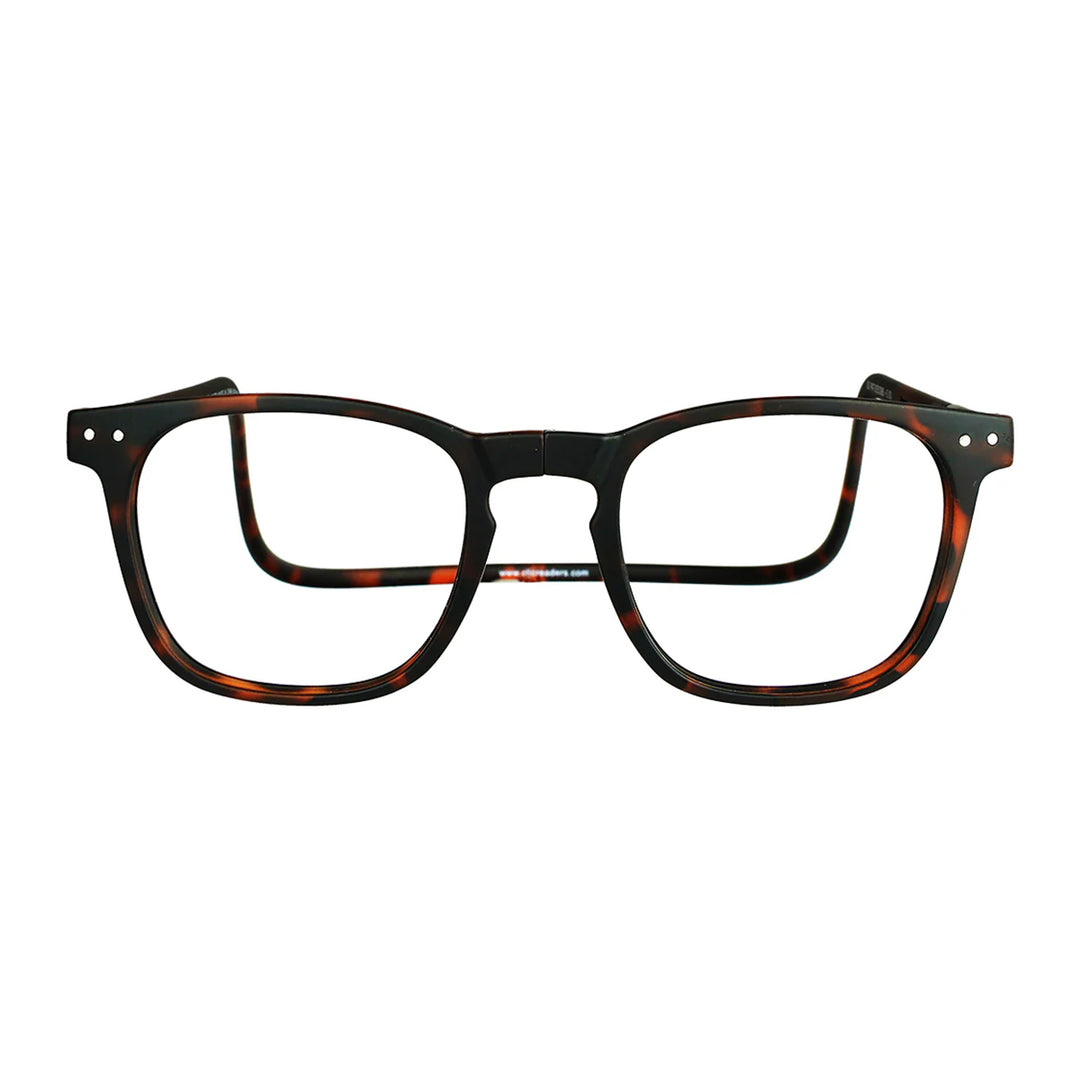 CLiC Readers Manhattan Tortoise - Madison River Fishing Company